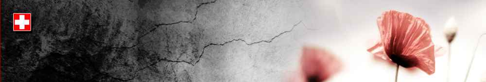 Luzius Mader - Delegierter f&uuml;r Opfer von f&uuml;rsorgerischen Zwangsmassnahmen